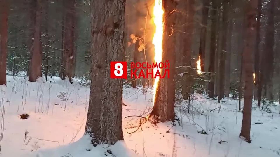 ����������� �������� ��� ������ �. ������� ���� � ��������� ������