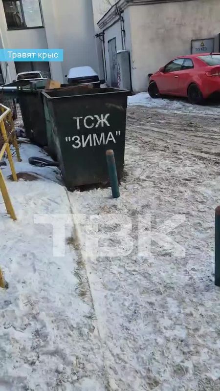 ���������� ����������� �������� � �����������