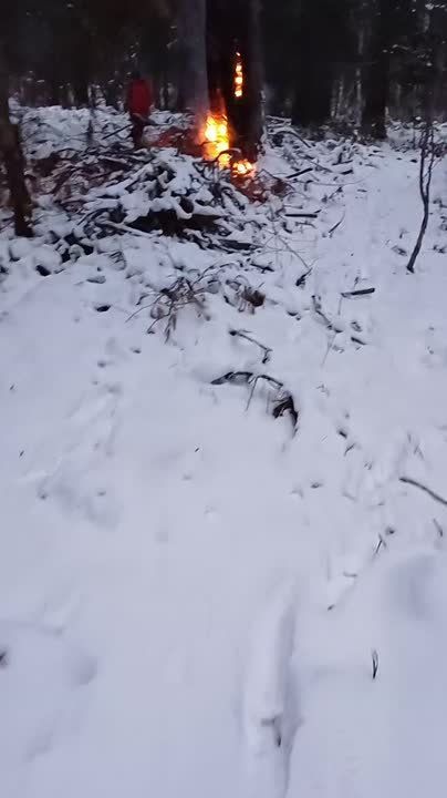 �� ��� ������������� ���� ����������� �������� ������ ���� ����� ���� ������� ����