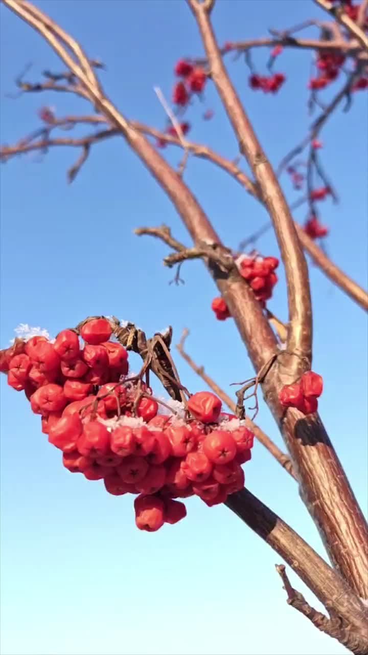 Погода на 16 декабря. ТВК