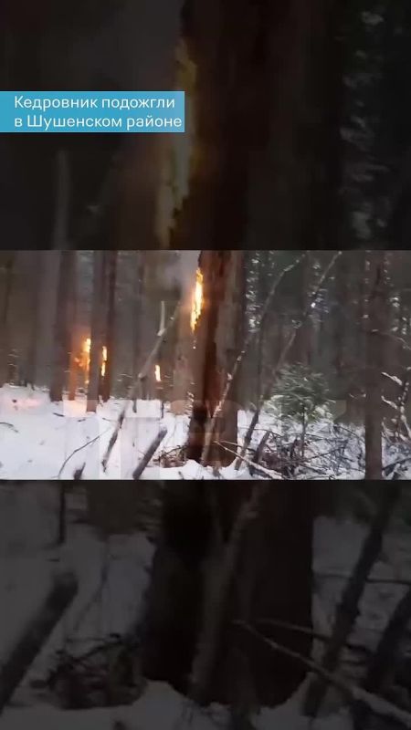 ���� ����� � �������� �������� �������: ����������� �������� �������� ��� � ������������ ����