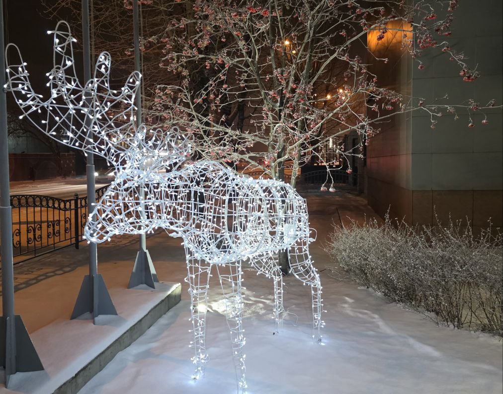 Красноярск украшают к Новому году: на улицах появляются новые светящиеся фигуры Красноярск украшают к Новому году: на улицах появляются новые светящиеся фигуры