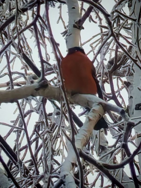 ������, ��� ��� ������� �����? � �������������!