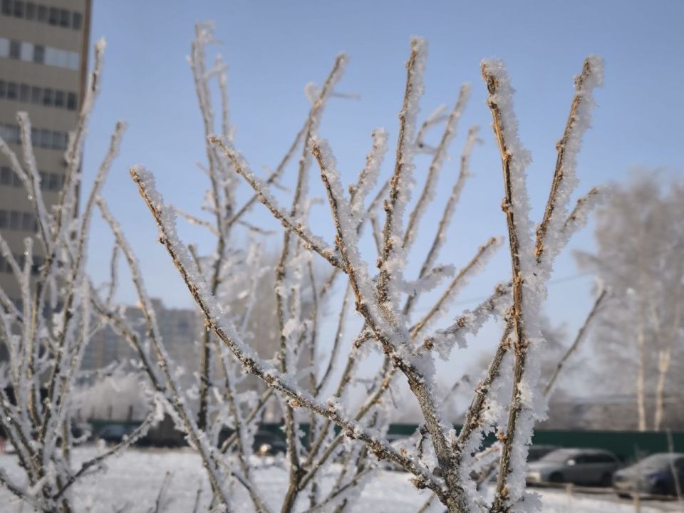 ������ ����!. ����: ������� ��������� #���������������