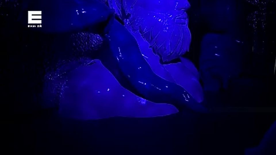 � ����������� �������� ������������ ����� ��������