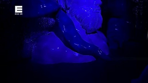 В Красноярске открылся национальный центр «Россия»