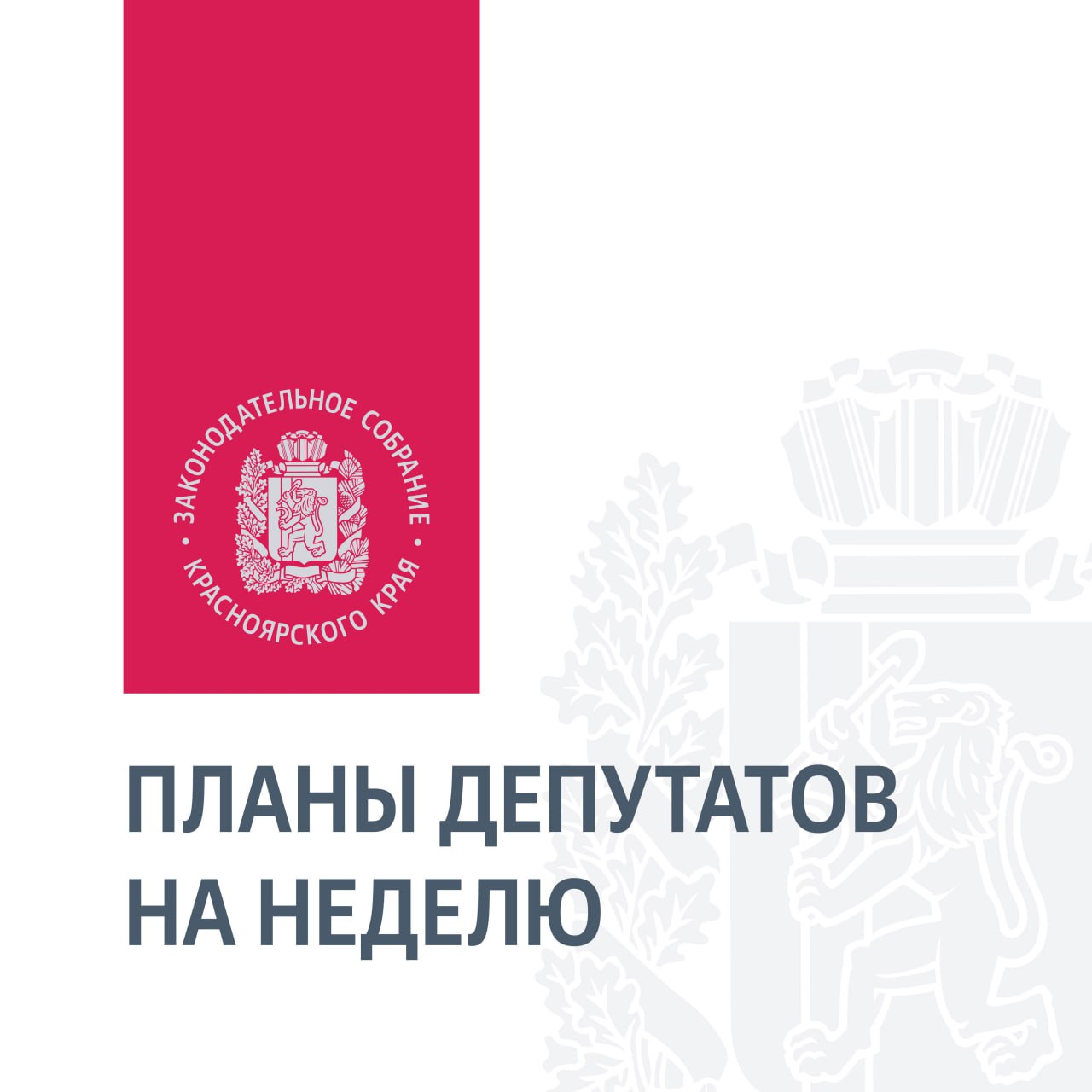 Дети, жилье и бизнес: планы краевого парламента на неделю