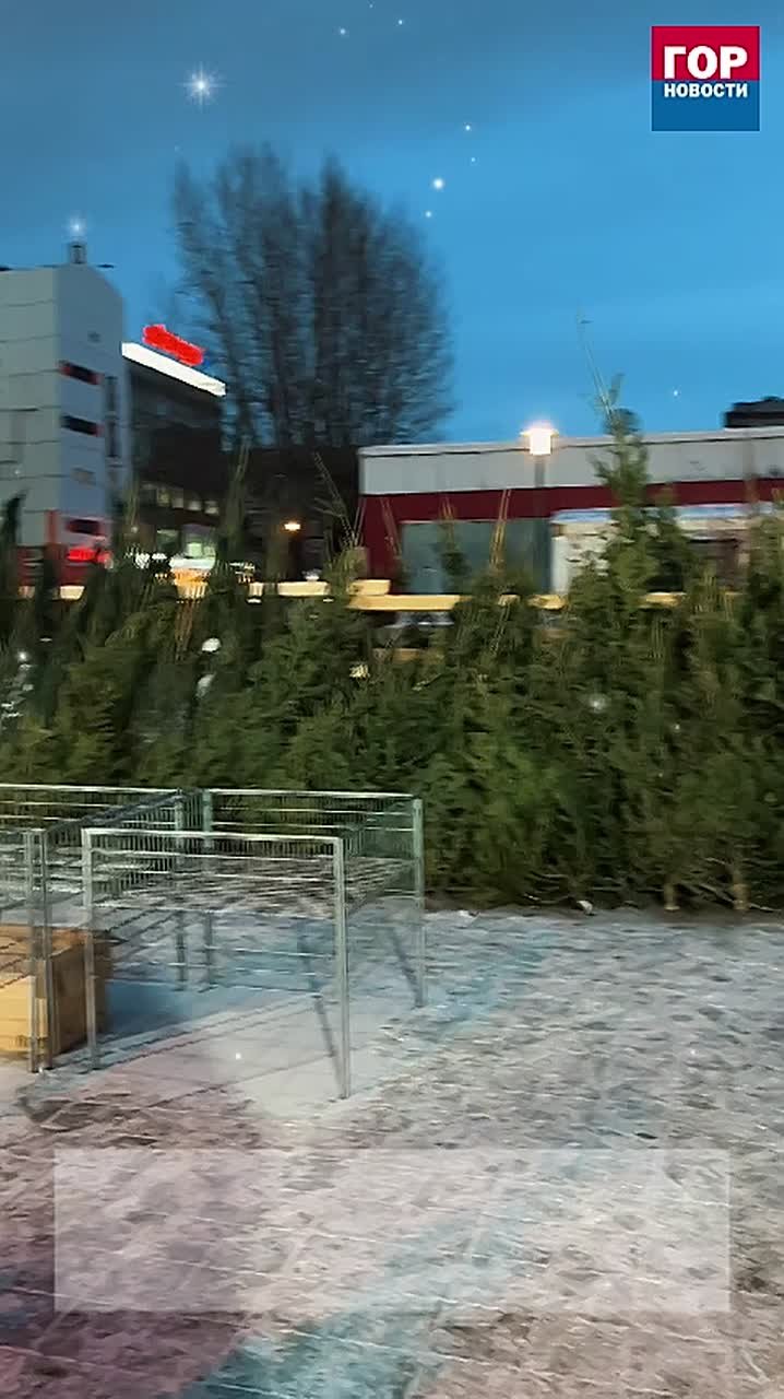 Представить себе Новый год без ёлки невозможно