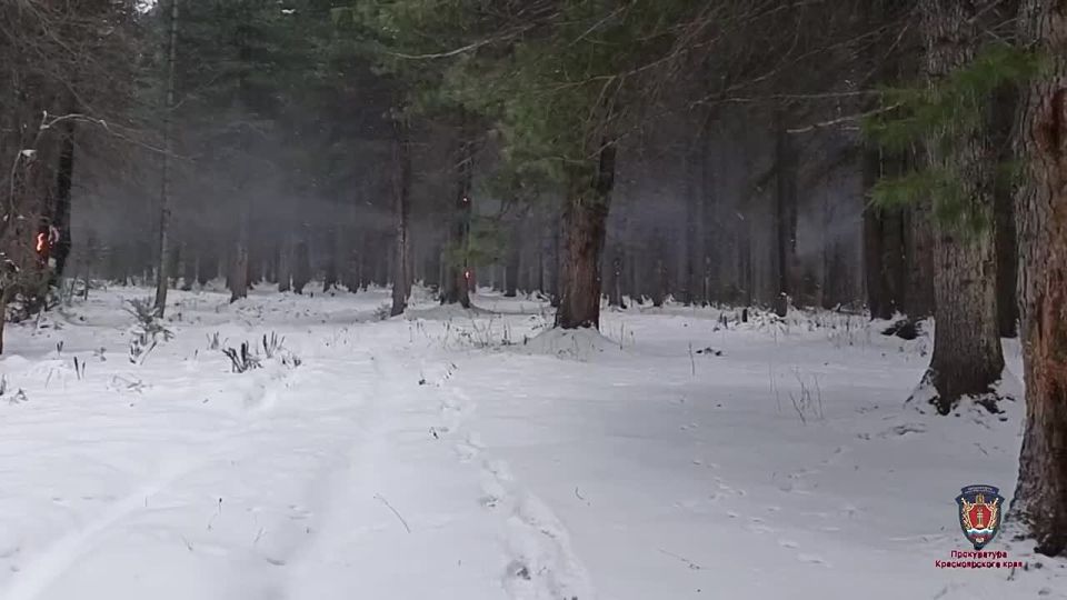 ����������� ��������� �� �������� ������������� ���������� ���� � ������� ������ � ��������� ������: �������� �������������