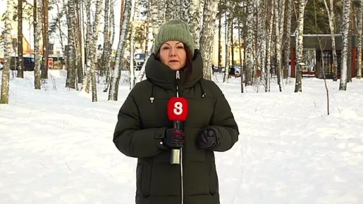 ТЕПЛО И ПОДГОТОВКА К НОВОМУ ГОДУ: ЧЕГО ЖДАТЬ ОТ ЭТОЙ НЕДЕЛИ?