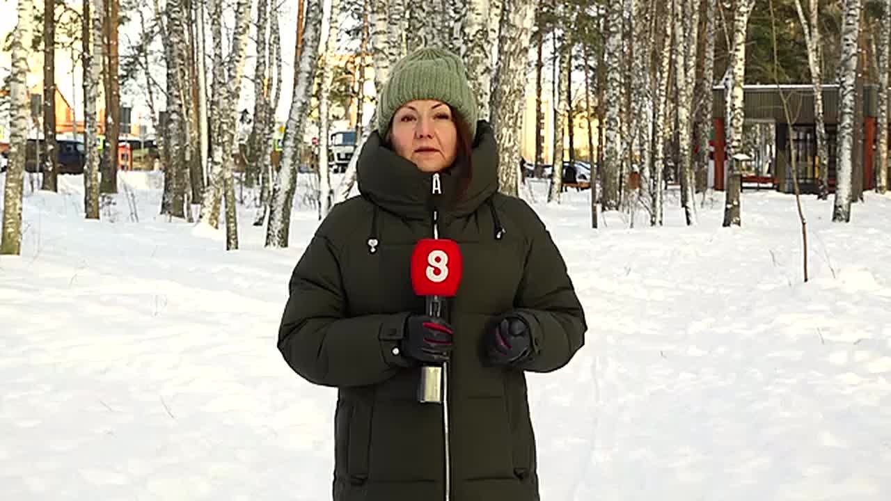 ТЕПЛО И ПОДГОТОВКА К НОВОМУ ГОДУ: ЧЕГО ЖДАТЬ ОТ ЭТОЙ НЕДЕЛИ?