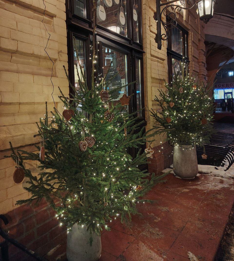 Как же красиво и необычно выглядят ёлочки в центре города Как же красиво и необычно выглядят ёлочки в центре города