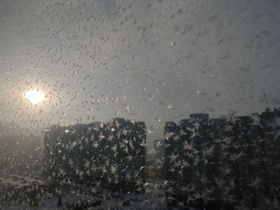 ������ ����!. ����: ��������� ���������� #���������������