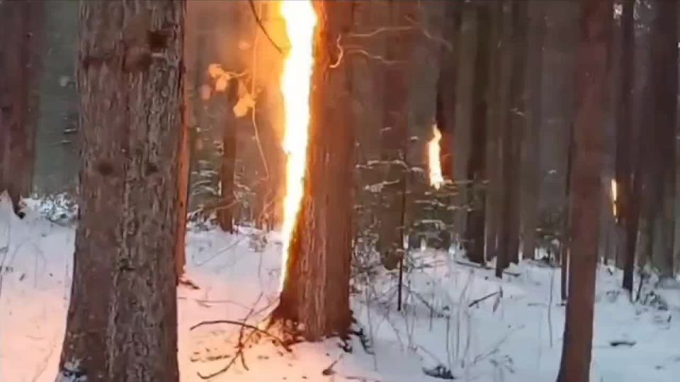 ����������� �������� 60 ������ � ��������� ������