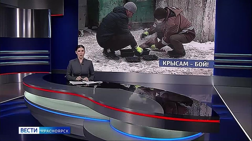 � ������������ ���� �������� ������ �������� �����������