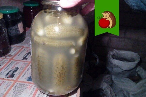 ������ ������� ����� � �������� � ��� ������ �����������?