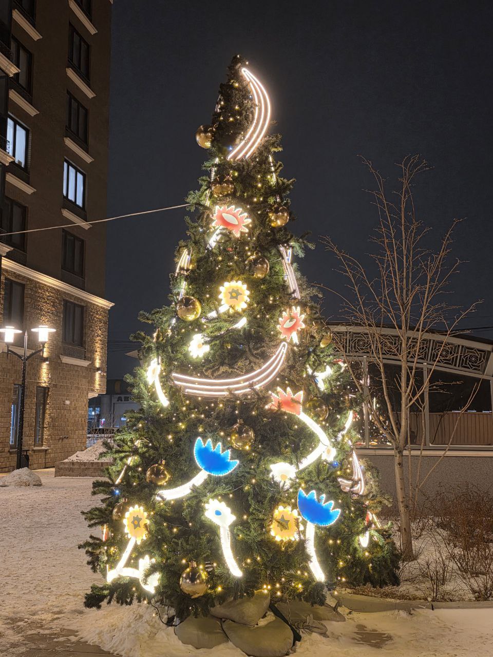 Как же красиво и необычно выглядят ёлочки в центре города