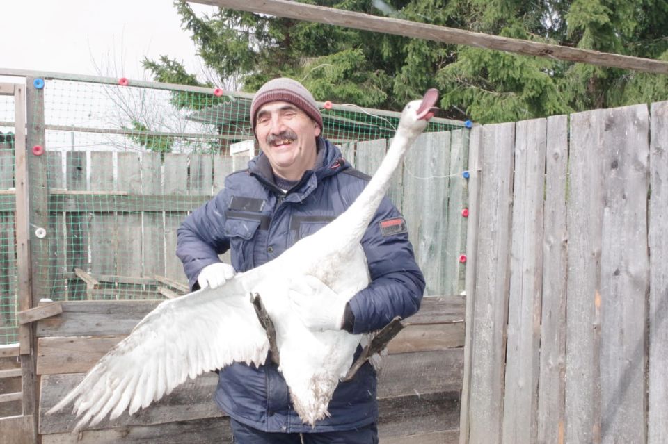 ���������� � ������������ ���� ������ �������� � ����� ����� �� ����������� ����������