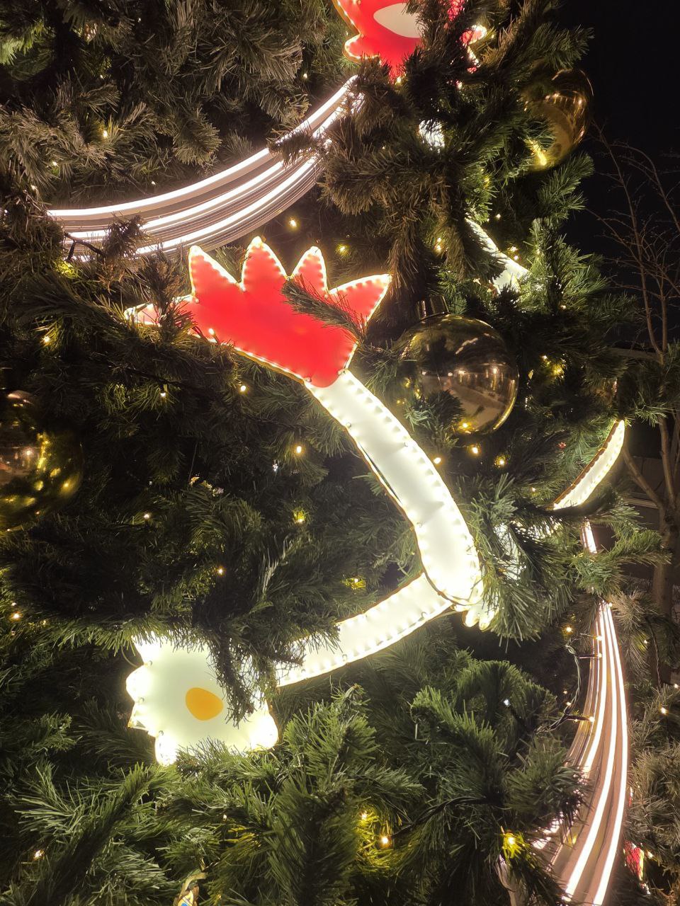 Как же красиво и необычно выглядят ёлочки в центре города Как же красиво и необычно выглядят ёлочки в центре города