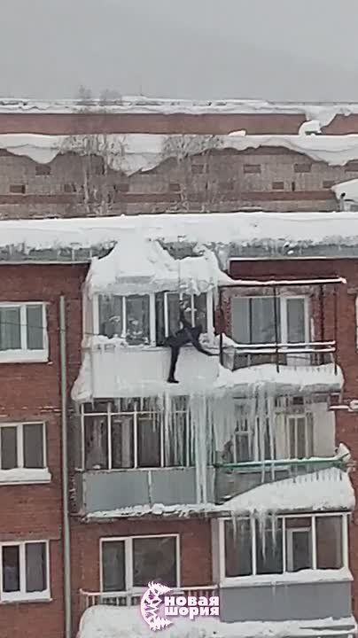 ������ ���������: ��������� ���� �������� � ������� �� 5 ����� � ��������