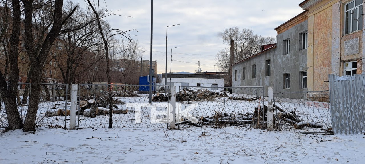 Почему спилили деревья на Вавилова?