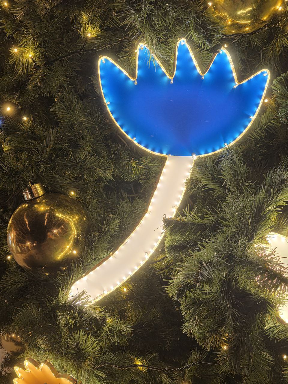 Как же красиво и необычно выглядят ёлочки в центре города Как же красиво и необычно выглядят ёлочки в центре города