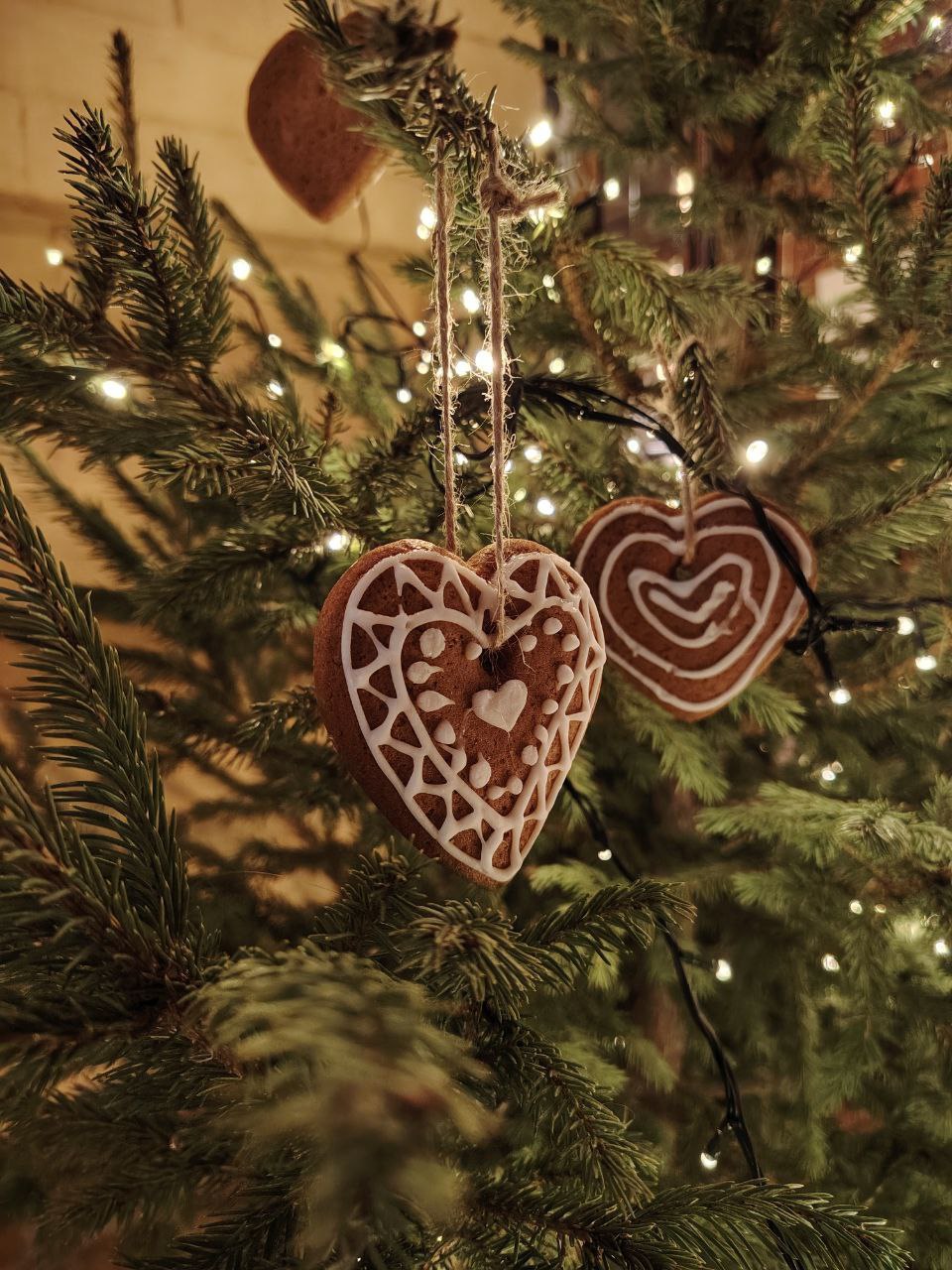 Как же красиво и необычно выглядят ёлочки в центре города Как же красиво и необычно выглядят ёлочки в центре города