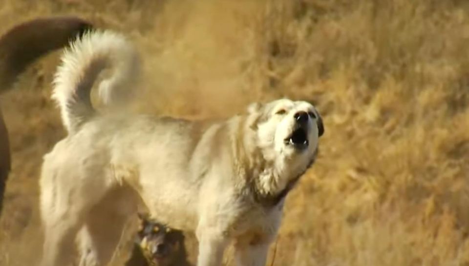 ����� 12 ��� ������ ������� ��������� ����� ������������� �������� �������