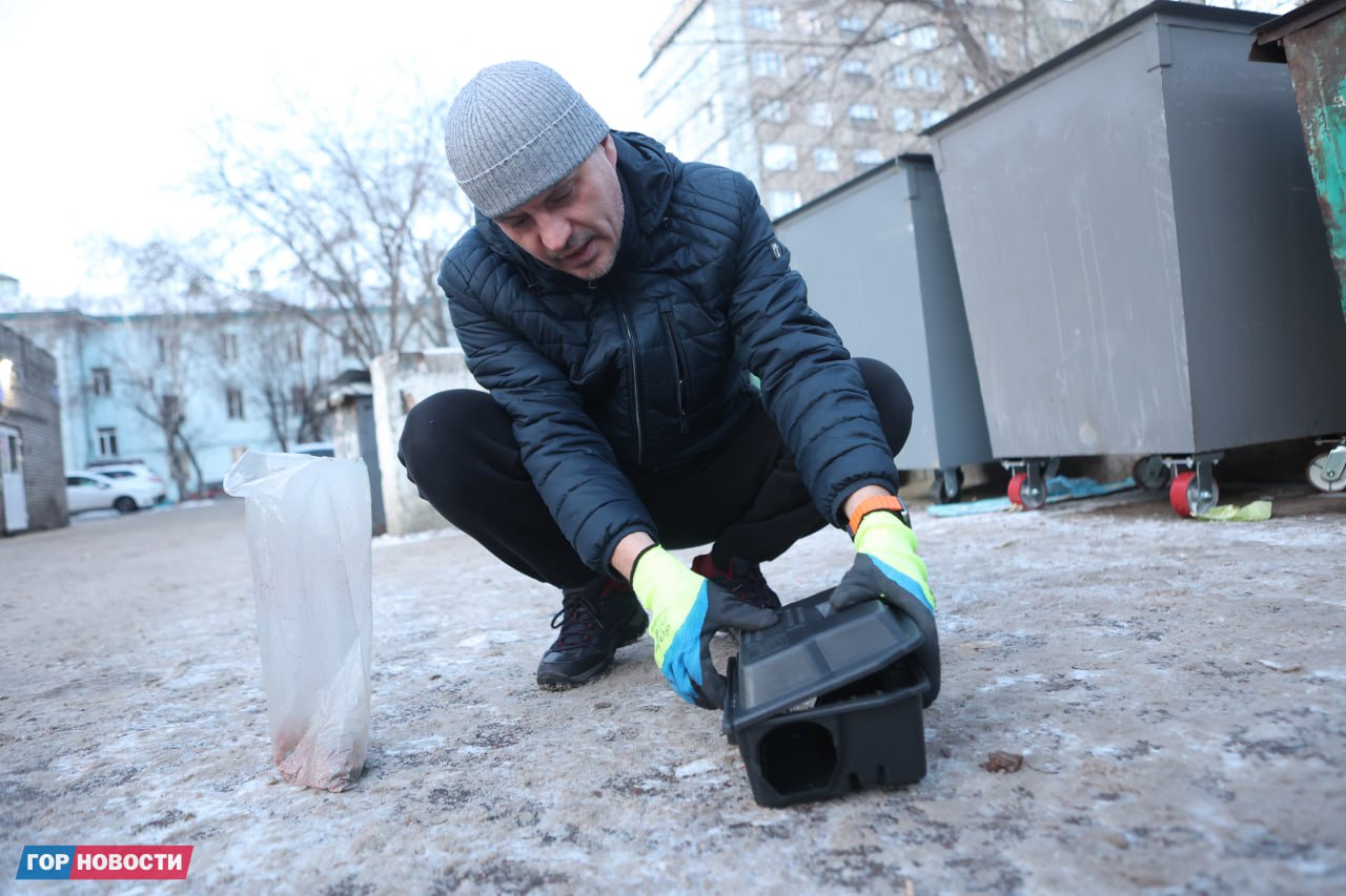 В Красноярске стартовала масштабная кампания по борьбе с грызунами: на этой неделе специалисты проводят дератизацию во всех районах города В Красноярске стартовала масштабная кампания по борьбе с грызунами: на этой неделе специалисты проводят дератизацию во всех районах города