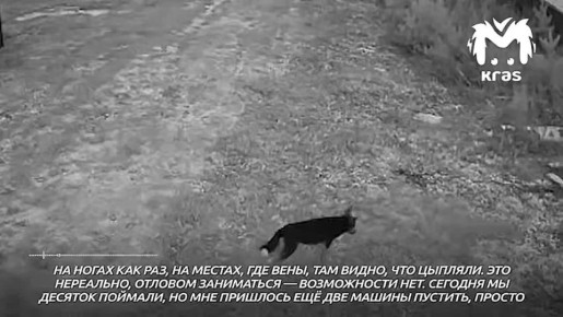 12,6 ��� ������ ������� ����������� ��� ����� ������, �������� �������� ������ � ���������� ������