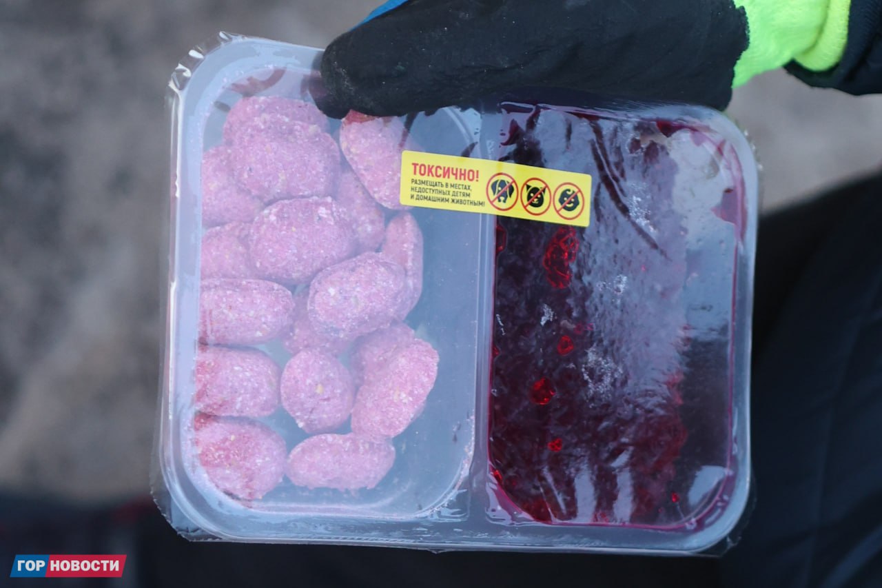 В Красноярске стартовала масштабная кампания по борьбе с грызунами: на этой неделе специалисты проводят дератизацию во всех районах города