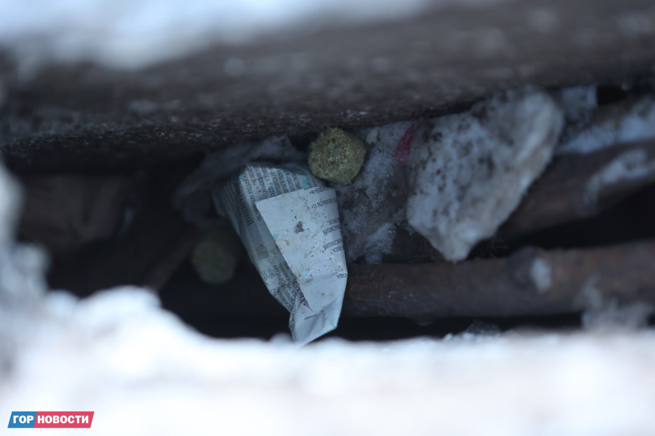 В Красноярске стартовала масштабная кампания по борьбе с грызунами: на этой неделе специалисты проводят дератизацию во всех районах города В Красноярске стартовала масштабная кампания по борьбе с грызунами: на этой неделе специалисты проводят дератизацию во всех районах города