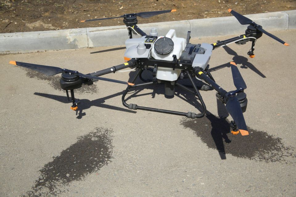 � ����������� �������� ��������� ����� �� ������ � �������� ������