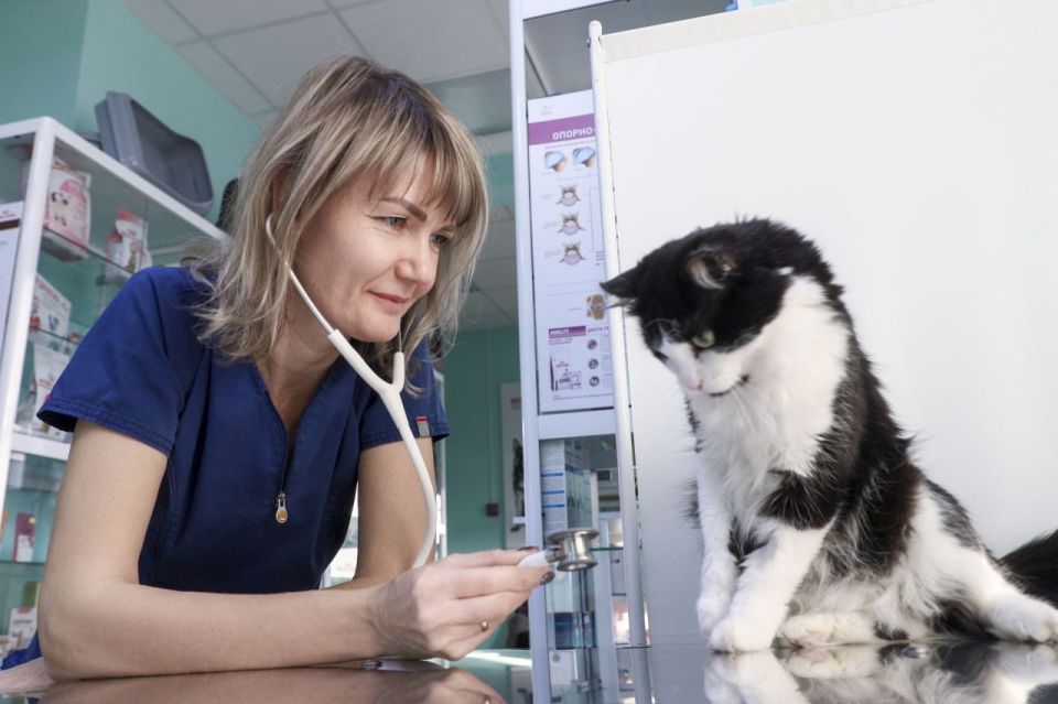 ���� � ��������� � ���, �������� ��, �������� ���������