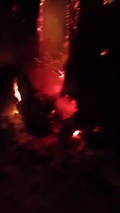 Еще один пожар произошел в кедровом лесу края