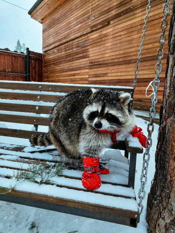 ����� ���� � ����� �������� ��������� ���� ��������