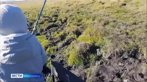 ������������� ������ �������� ��������� ������