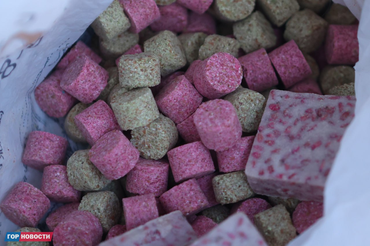 В Красноярске стартовала масштабная кампания по борьбе с грызунами: на этой неделе специалисты проводят дератизацию во всех районах города В Красноярске стартовала масштабная кампания по борьбе с грызунами: на этой неделе специалисты проводят дератизацию во всех районах города