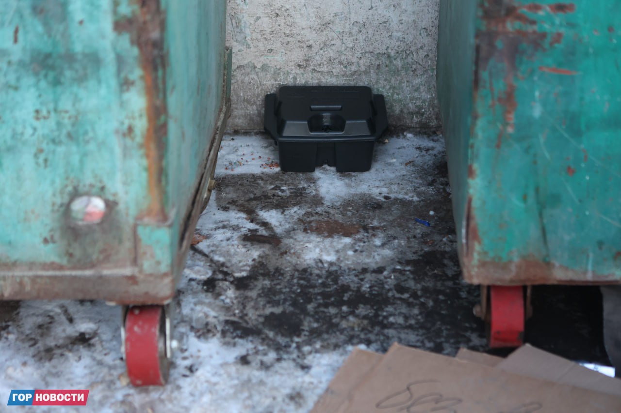 В Красноярске стартовала масштабная кампания по борьбе с грызунами: на этой неделе специалисты проводят дератизацию во всех районах города В Красноярске стартовала масштабная кампания по борьбе с грызунами: на этой неделе специалисты проводят дератизацию во всех районах города