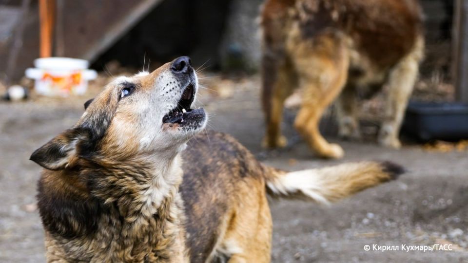 ����� 12,6 ��� ������ ������� ����������� ������������� ���� �� ������ �� ���������� ��� �������� �������� ������������ ������ ��� ����� 10-������� ��������, ��������� � ������� � ���������� ��������� ��������� �����