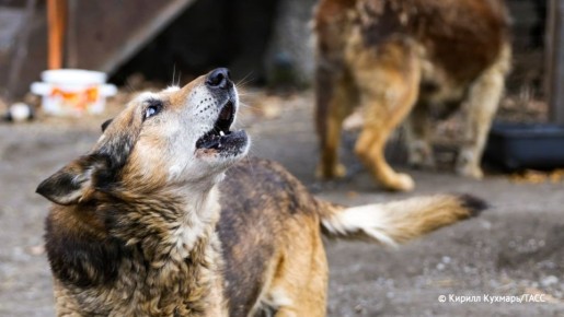 ����� 12,6 ��� ������ ������� ����������� ������������� ���� �� ������ �� ���������� ��� �������� �������� ������������ ������ ��� ����� 10-������� ��������, ��������� � ������� � ���������� ��������� ��������� �����