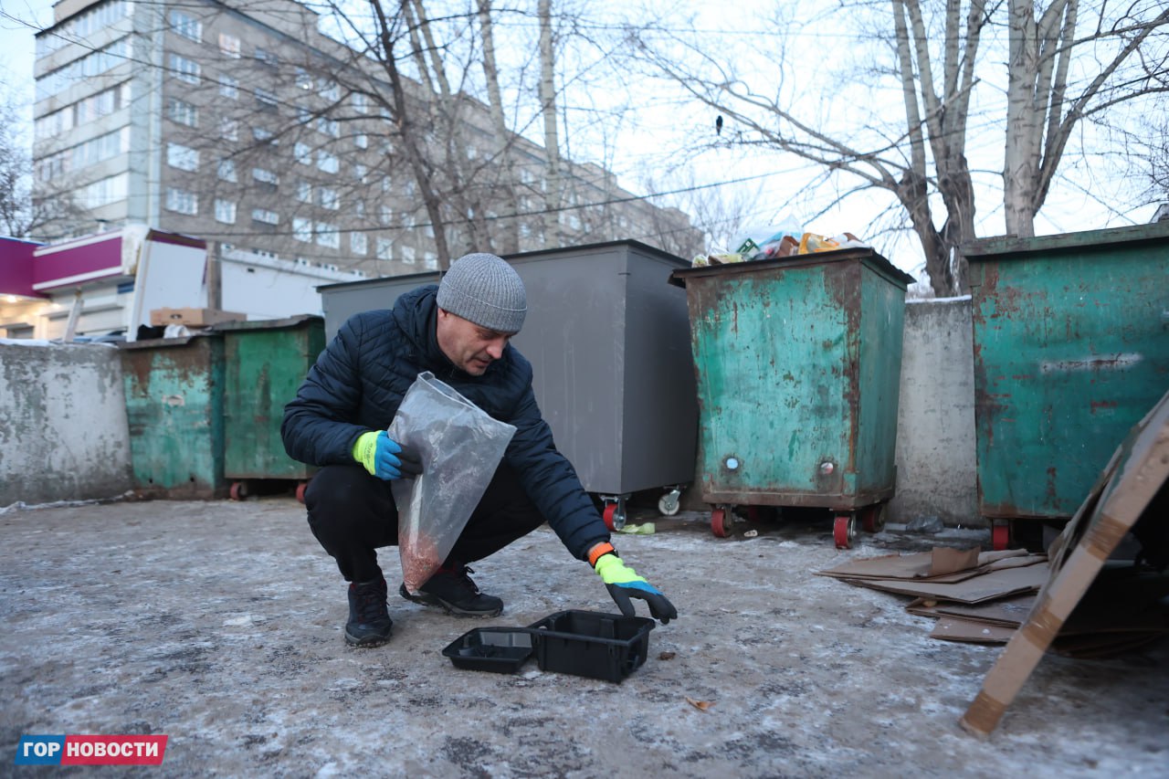 В Красноярске стартовала масштабная кампания по борьбе с грызунами: на этой неделе специалисты проводят дератизацию во всех районах города В Красноярске стартовала масштабная кампания по борьбе с грызунами: на этой неделе специалисты проводят дератизацию во всех районах города