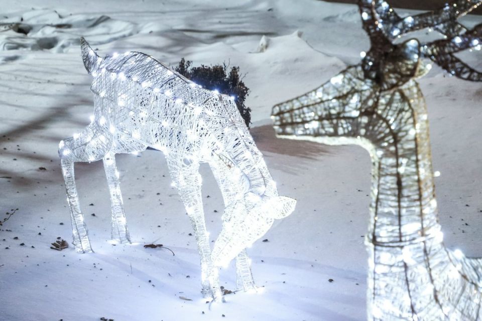 ��� �������� ������� ������� ��������� ������ ��������! ������ �� ����� � ����� ����������� �������� � ���������� �������-����, ����� �����������, � ����� ������ ����� � ������� � ����������� ������� �� ������ �������...