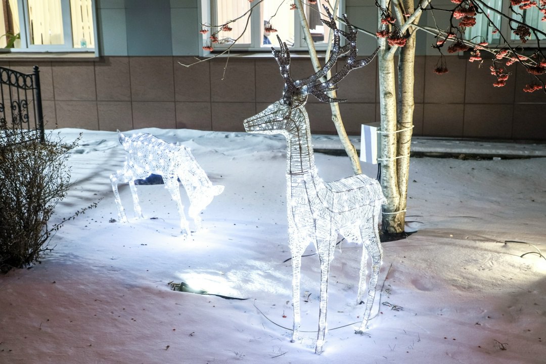 Наш фотограф Дмитрий Шабалин постоянно грезит чудесами! Иногда он верит в выход футбольного «Енисея» в российскую премьер-лигу, прилёт инопланетян, а также всегда готов к встрече с шамаханской царицей на улицах зимнего... Наш фотограф Дмитрий Шабалин постоянно грезит чудесами! Иногда он верит в выход футбольного «Енисея» в российскую премьер-лигу, прилёт инопланетян, а также всегда готов к встрече с шамаханской царицей на улицах зимнего...