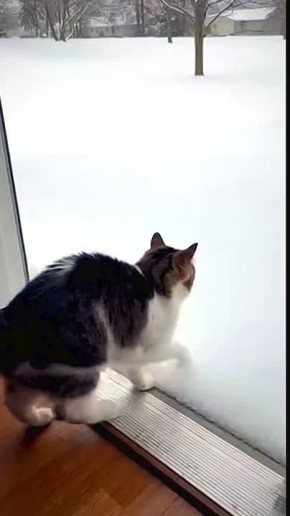 По прогнозам, погода обещает быть такой же морозной, как и сегодня — особенно вечером