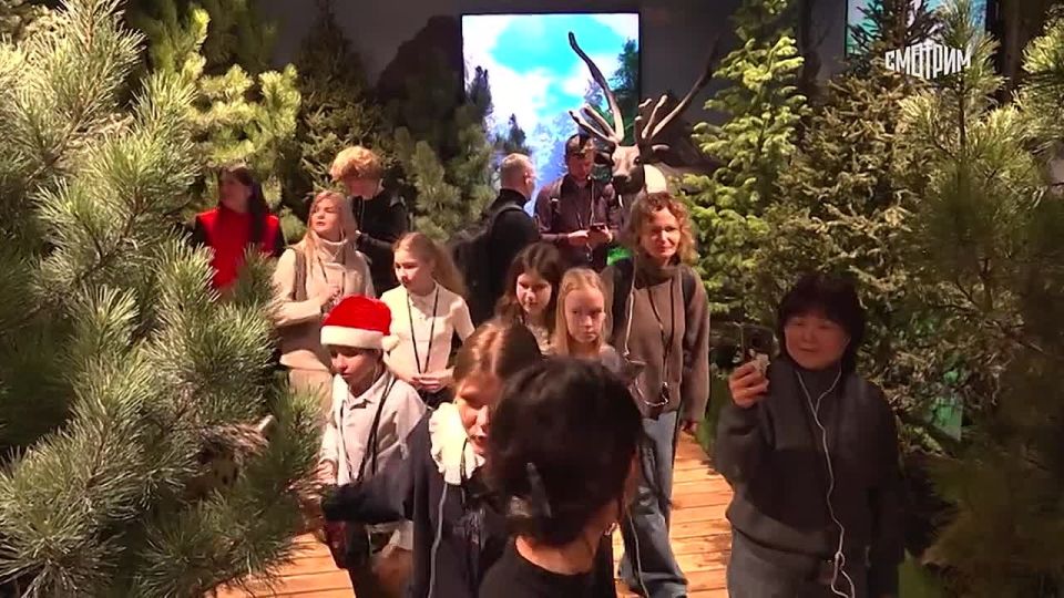 �� ���� ������ � ����������� � �����-��������� ��������� ������� ������������� ������ "������", ������� ����� ��������� ����� ���������� ���������������������� ��������