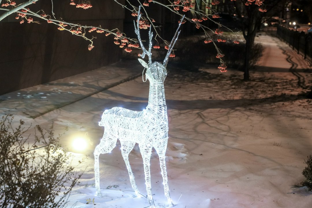 Наш фотограф Дмитрий Шабалин постоянно грезит чудесами! Иногда он верит в выход футбольного «Енисея» в российскую премьер-лигу, прилёт инопланетян, а также всегда готов к встрече с шамаханской царицей на улицах зимнего... Наш фотограф Дмитрий Шабалин постоянно грезит чудесами! Иногда он верит в выход футбольного «Енисея» в российскую премьер-лигу, прилёт инопланетян, а также всегда готов к встрече с шамаханской царицей на улицах зимнего...