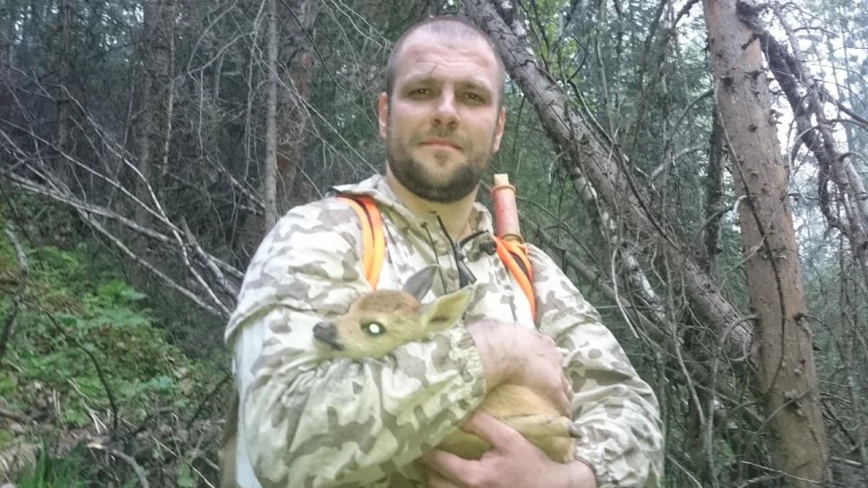 ���� �������� ����� ������ ������, ������ �����������, ��������� �����������, ����������, ������������ � �������� ������