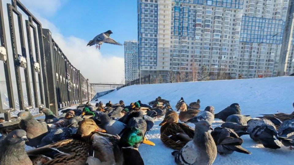 ������ ����!. ����: ��������� ���������� #���������������