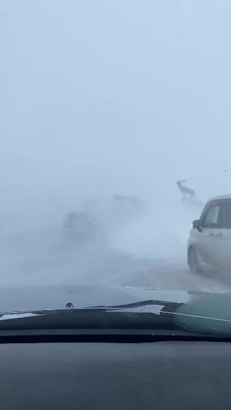 ����������� ������� ��������� �� ������ �������-����������